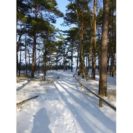 House Lucky Ruegen Holiday home Glowe